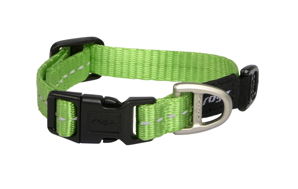 Utility Collar S Turquoise