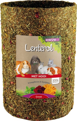 [E805003] Lenterol Groot 30 cm.