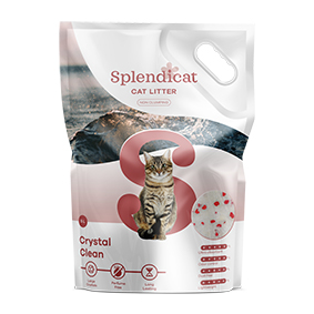 Splendicat Crystal clean