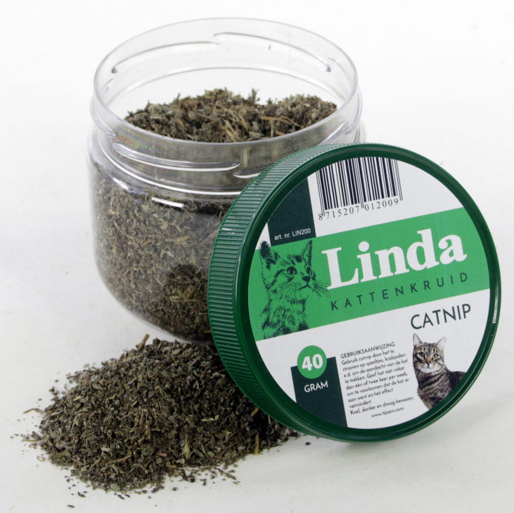 Linda Catnip
