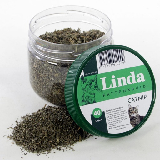 [LIN200] Linda Catnip